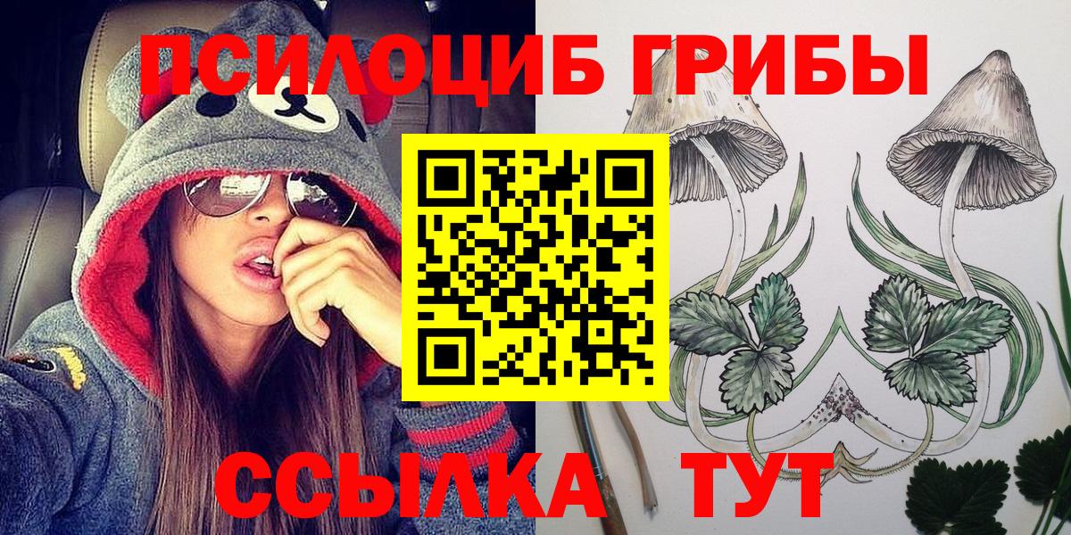 Белово  Псилоцибиновые грибы Cubensis  Вход с VPN  где найти наркотики  Псилоцибиновые грибы Psilocybe 